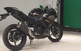 KAWASAKI NINJA 250 EX250P