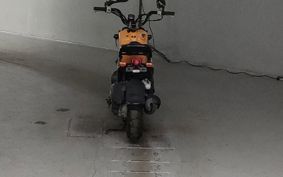 HONDA ZUMAR AF58