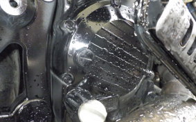 HONDA PS250 2008 MF09