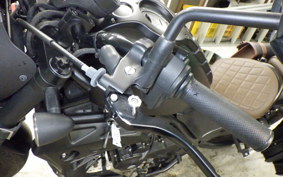 HONDA REBEL 250 S 2008 MC49