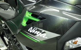 KAWASAKI NINJA 250 2023 EX250Y