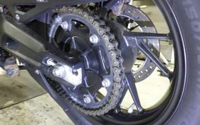 TRIUMPH TIGER 900 GT PRO 2024