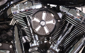 HARLEY FLHR 2010 FB4