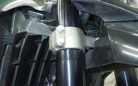 YAMAHA WR250X 2009 DG15J