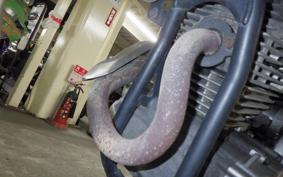 YAMAHA XT250X 1992 DG11J