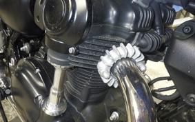 KAWASAKI W800-2ｽﾄﾘｰﾄ 2021 EJ800B