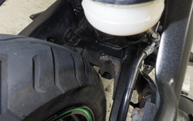 KAWASAKI NINJA 250R EX250K