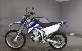 YAMAHA WR250R DG15J