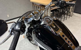 HARLEY FLFB 2025 YF9