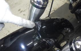 HARLEY FXDL 1580 2016