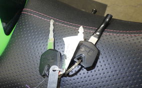 KAWASAKI NINJA 250 EX250L