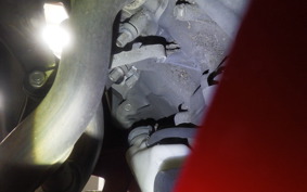 HONDA CBR600RR 2024 PC40