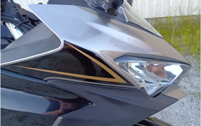 KAWASAKI NINJA 250 EX250P