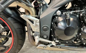 TRIUMPH SPEED TRIPLE 2013 TPN105