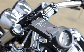 HARLEY FXDF 2015 GY4