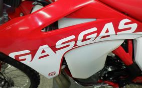 GASGAS EC 250
