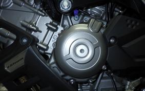 SUZUKI Vｽﾄﾛｰﾑ650XTA 2023 C733M