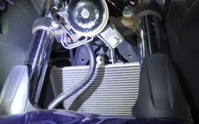 YAMAHA YZF-R25 2020 RG10J