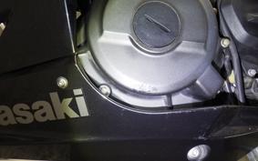 KAWASAKI NINJA 250 EX250P