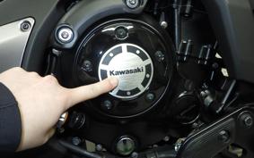 KAWASAKI VULCAN 650 SA 2024 EN650M