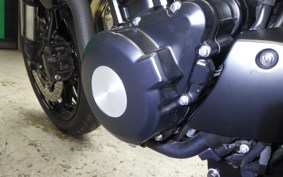 KAWASAKI Z900RS 2024 ZR900K
