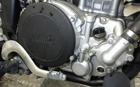 YAMAHA WR250X 2025 DG15J