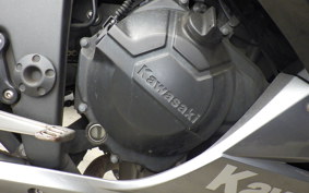 KAWASAKI NINJA 250 ABS EX250L