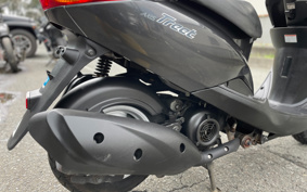 YAMAHA AKUSHI STREET SE53J