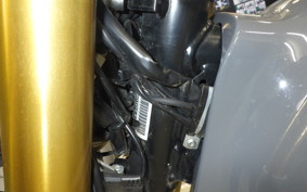 FANTIC SCRAMBLER 500 2022
