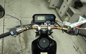 KAWASAKI SUPER SHERPA KL250G