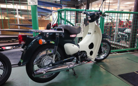 HONDA LITTLE CUB AA01