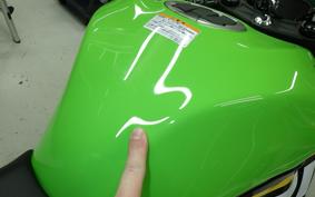 KAWASAKI NINJA ZX-6R A 2025