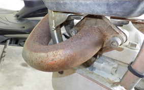GASGAS JT 250 CONTACT