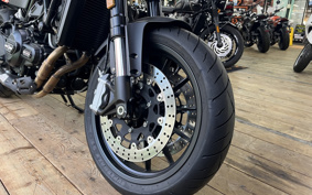 HARLEY X500 2024 W5B