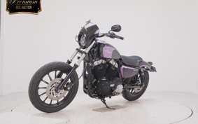 OTHER +HD. XL1200X 2010