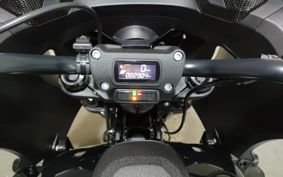 HARLEY FXLRST1920 2024 YXZ