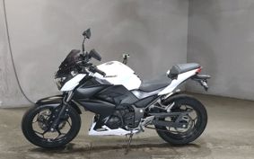 KAWASAKI Z250 ER250C