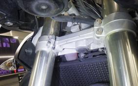 TRIUMPH TIGER 800 XC 2011