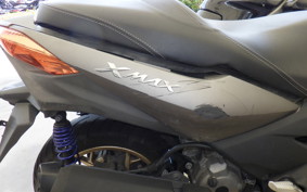 OTHER +X-MAX250A SG42J