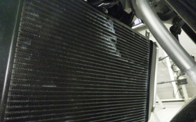 KAWASAKI Z900RS 2025 ZR900K