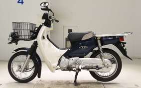 HONDA C110 SUPER CUB 2018 JA10