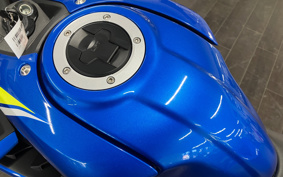 SUZUKI GSX-R125 ABS DL33B