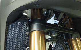 HONDA CRF1100L AFRICA TWIN DCT 2026 SD15