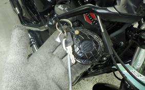 HARLEY XL1200X 2021