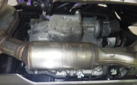 KAWASAKI NINJA 1000SX 2024 ZXT02K