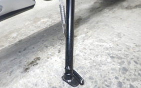 TRIUMPH TRIDENT 660 2024