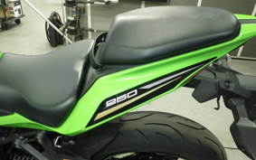 KAWASAKI ZX-25R ZX250E