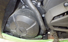 KAWASAKI NINJA 250 EX250L