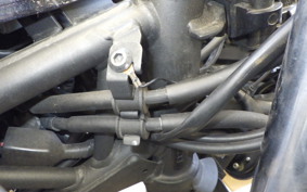 KAWASAKI NINJA 250 EX250P