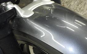 BMW R NINE T PURE 2021